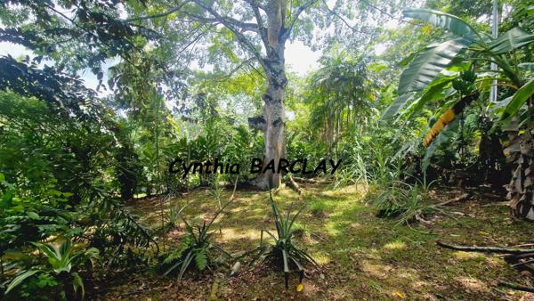 Villa à SAINT JOSEPH (97212)