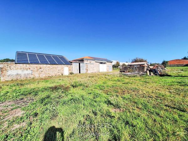 Terrain à LA TOURLANDRY, 49120 - 5 pièces 3302m²