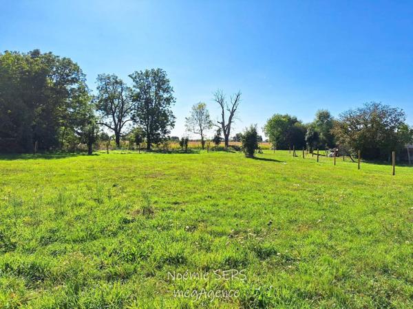 Terrain à LA TOURLANDRY, 49120 - 5 pièces 3302m²