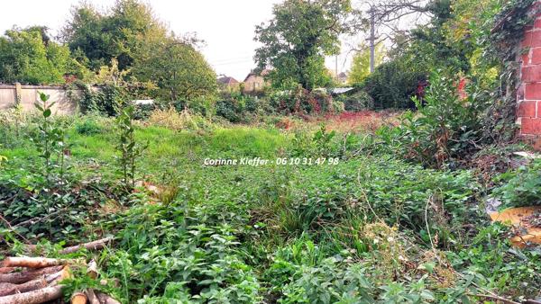 Terrain constructible à TAVERNY (95150)