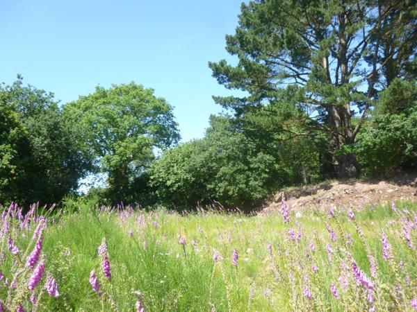 Achat terrain près de Guingamp - 4920 m² - 39 500 €