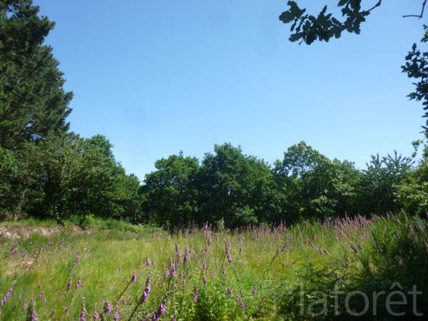 Achat terrain près de Guingamp - 4920 m² - 39 500 €