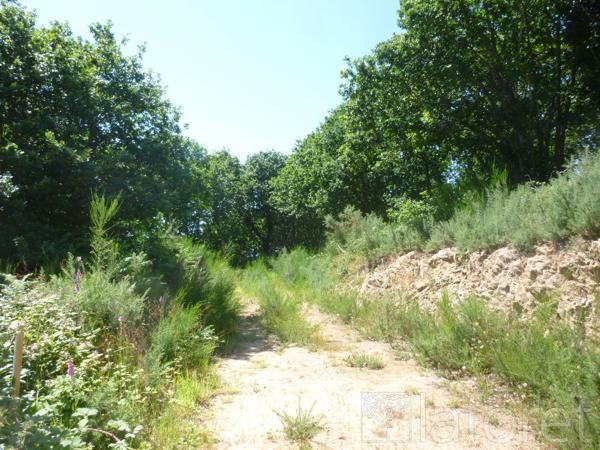 Achat terrain près de Guingamp - 4920 m² - 39 500 €