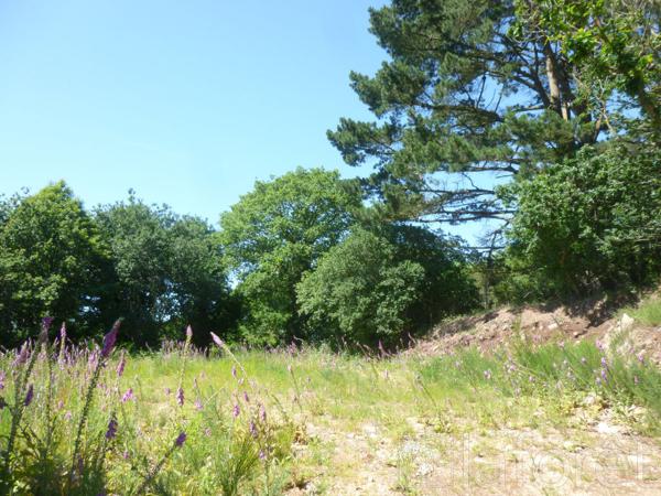 Achat terrain près de Guingamp - 4920 m² - 39 500 €