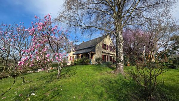 Grande maison familliale avec piscine