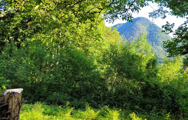 TRES GRAND CHALET EN PARFAIT ETAT-EN PLEINE NATURE.