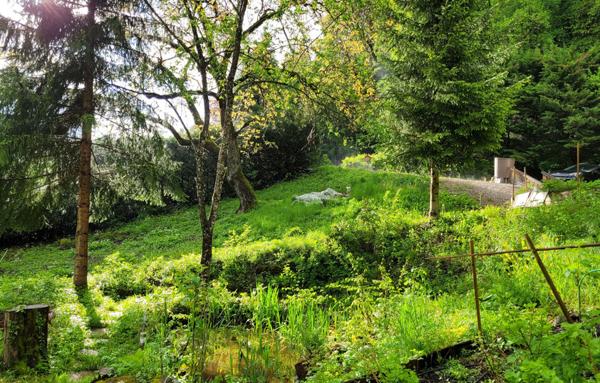 TRES GRAND CHALET EN PARFAIT ETAT-EN PLEINE NATURE.