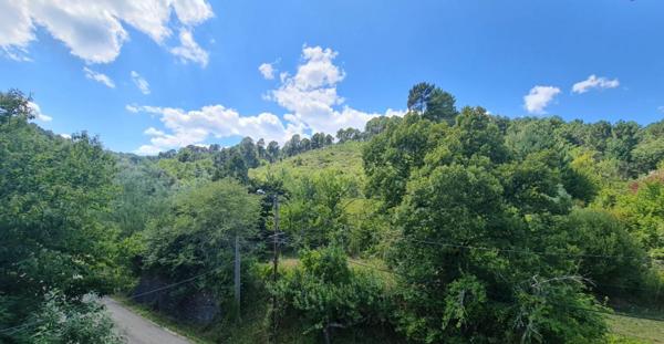 Propriété atypique avec + de 9 hectares de terrain, autonomie et charme authentique