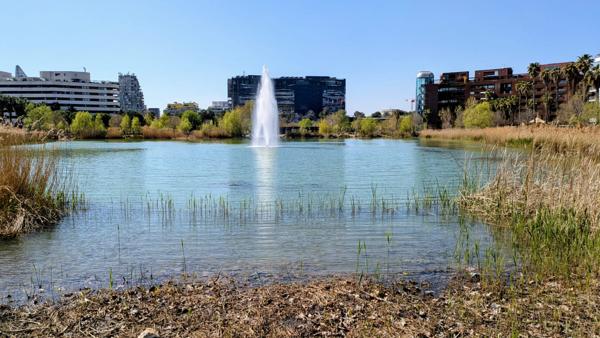 Montpellier (34000) Montpellier – Bassin Jacques Cœur – Port Marianne – Appartement d’exception avec terrasse et vue imprenable