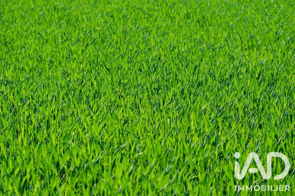 Terrain à vendre 529 m² Mandres-les-Roses