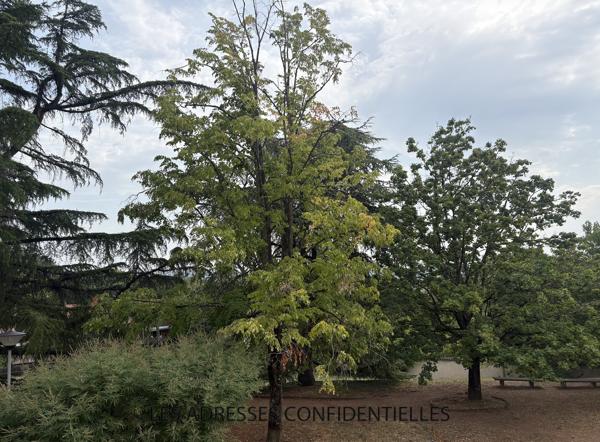 IRIGNY - T3 TRAVERSANT de 66m² - PLACE DE STATIONNEMENT - CAVE.