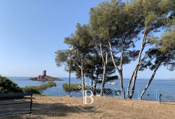 Saint-Raphaël, Terrain constructible  11 000 m² à vendre