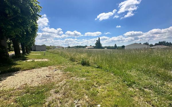 Terrain à vendre    Thénac