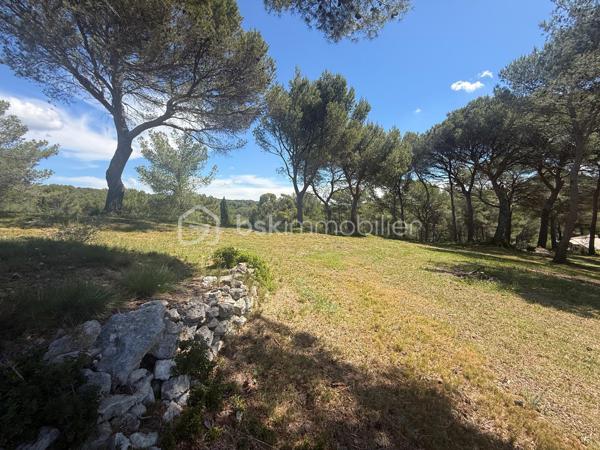 Exclusivité - Au cœur d’une parcelle arborée de plus de 8 000 m² 
Au sommet de la colline, située dans une impasse au calme, dans un environnement naturel exceptionnel et totalement préservé, découvrez cette propriété rare offrant une vue dominante et panoramique. Un cadre de vie unique.

Cette maison de plain-pied d’environ 155 m² habitables complété par une véranda d'environ 50 m² séduit immédiatement par son atmosphère paisible et son emplacement. 
Un agrandissement de 20 m² peut être réalisé, dans le respect de la réglementation d’urbanisme en vigueur.

Une vaste véranda d’environ vous accueille, véritable pièce de vie tournée vers l’extérieur, constitue un espace convivial et lumineux idéal pour profiter du cadre naturel en toute saison.
La pièce de vie, largement ouverte sur la cuisine, profite d’une vue incroyable sur la nature environnante. 

L’espace nuit se compose d’une suite parentale avec salle de bain comprenant douche, baignoire et WC, de deux chambres reliées par une salle de d'eau communicante ainsi qu'un WC séparé.  En complément, deux pièces supplémentaires de 14 et 23 m² offrent de nombreuses possibilités d’aménagement : chambres, bureau, atelier ou encore logement indépendant pour projet locatif selon vos envies.

La propriété dispose également d’un sous-sol d’environ 70 m², d’un cabanon aménagé en studio, d’une piscine, d’un espace détente intimiste avec spa couvert, d’une cuisine d’été ainsi que d’un carport permettant de stationner deux véhicules. 

Le jardin arboré, offre un cadre intimiste et apaisant en parfaite harmonie avec l’environnement naturel.

Les + de la propriété:
- Environnement campagne, aux portes d'Aix dans un village recherché situé à seulement 20min de la gare TGV et de l’aéroport
- La parcelle de plus de 8000 m² située en zone N, garantit un environnement préservé et naturel
- Raccordée au tout-à-l’égout
- Raccordement à l'eau du canal
- Panneaux photovoltaïques couplés à une batterie, permettant d’optimiser l’autoconsommation énergétique et de réduire significativement les dépenses en électricité au quotidien
- Toiture trilatte récente

Un bien rare pour les amoureux d’espace, de tranquillité et de vues exceptionnelles. Cette propriété réunit confort, nature et potentiel dans un emplacement privilégié.