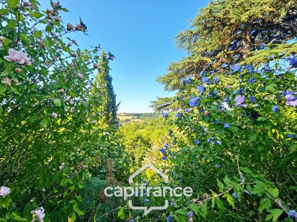 Domaine de charme, 1.7 hectares, 470 m² habitable, 20 couchages, roulotte, piscine, parc avec arbres centenaires