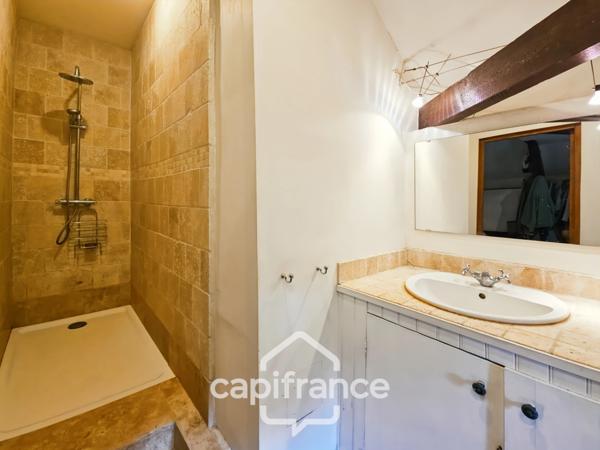 Domaine de charme, 1.7 hectares, 470 m² habitable, 20 couchages, roulotte, piscine, parc avec arbres centenaires