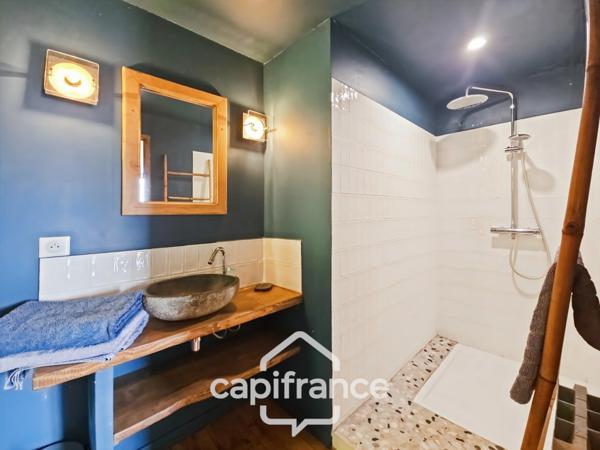 Domaine de charme, 1.7 hectares, 470 m² habitable, 20 couchages, roulotte, piscine, parc avec arbres centenaires