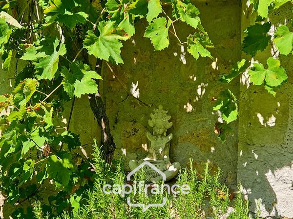 Domaine de charme, 1.7 hectares, 470 m² habitable, 20 couchages, roulotte, piscine, parc avec arbres centenaires