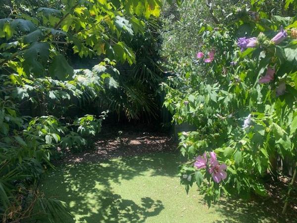Maison 543 000 € Le Bouscat 6 p 124 m² DPE D