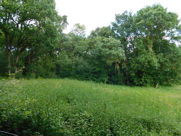 MURS-ERIGNE Terrain constructible d'environ 1600 m²