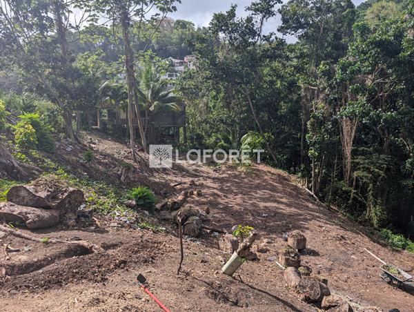 Achat terrain Fort-de-France - 1500 m² - 160 000 €