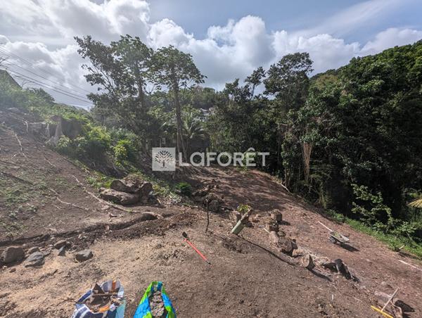 Achat terrain Fort-de-France - 1500 m² - 160 000 €