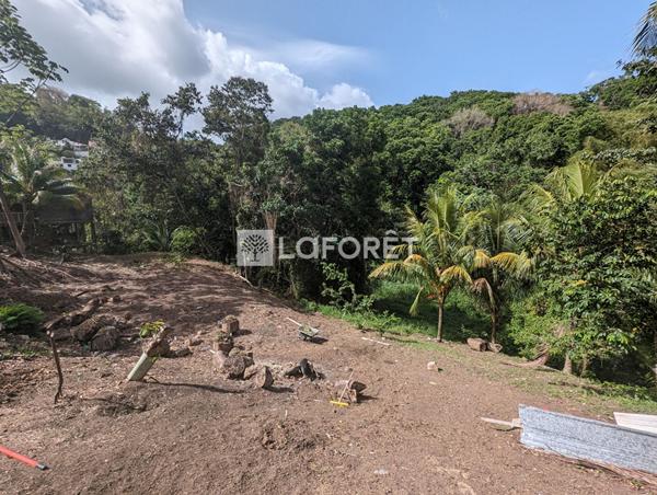 Achat terrain Fort-de-France - 1500 m² - 160 000 €