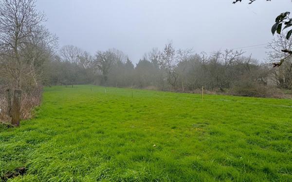 Terrain à vendre    Jeandelaincourt