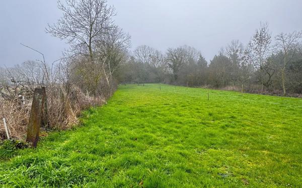 Terrain à vendre    Jeandelaincourt