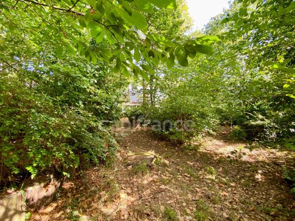 Maison à vendre 6 pièces PLOEREN (56)