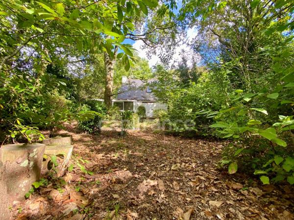 Maison à vendre 6 pièces PLOEREN (56)