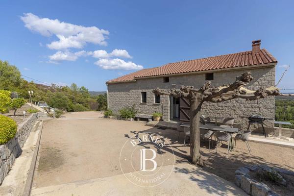 Lecci, Villa 7 Chambres -  263 m² à vendre