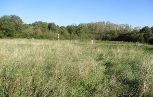 Vente Terrain Brem-sur-mer   