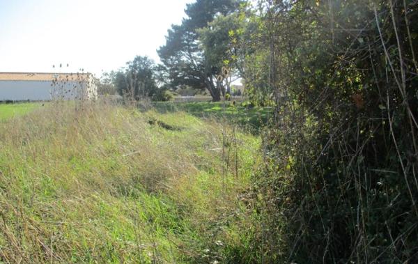 Vente Terrain Brem-sur-mer   
