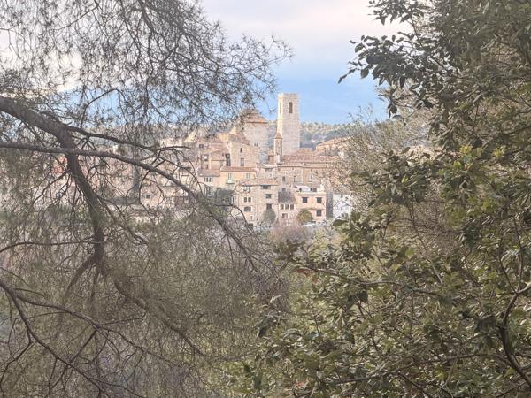 Saint-Paul-de-Vence (06570) TERRAIN 970 m2 sur Saint Paul de Vence vue sur le village