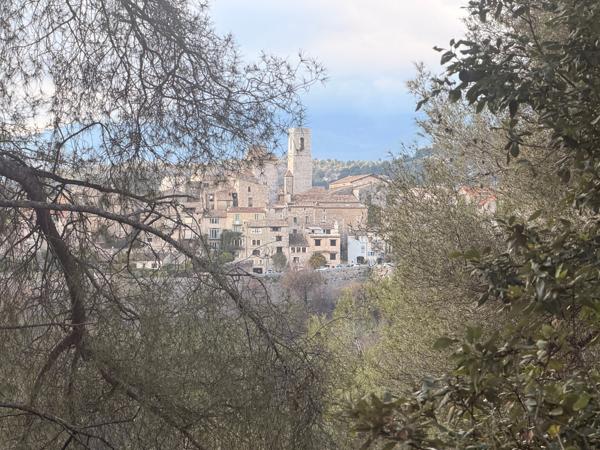 Saint-Paul-de-Vence (06570) TERRAIN 970 m2 sur Saint Paul de Vence vue sur le village