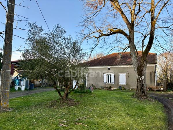 Dpt Gers (32), à vendre proche de NOGARO maison P6 de 214 m² - Terrain de 10803 m2 - Plain pied