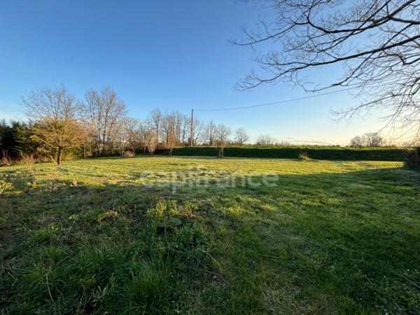 Dpt Gers (32), à vendre proche de NOGARO maison P6 de 214 m² - Terrain de 10803 m2 - Plain pied