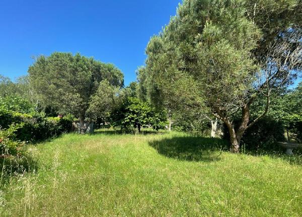 Terrain à vendre    La Tremblade