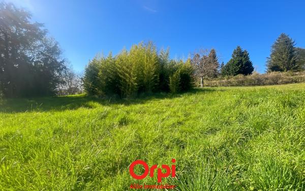 Terrain à vendre    Montluçon
