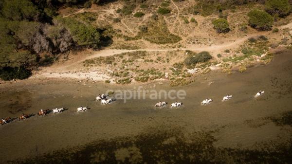 BOUCHES DU RHONES (13) proche Les saintes maries de la mer (13460) à vendre ensemble immobilier de 2 500 m 2 bâti sur 80 000 m2 terrain.
