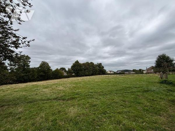 POILLEY (35) - Un terrain constructible d'une surface d'environ 7.000 m².