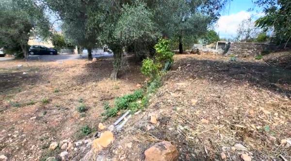 La Trinité (06340) LA TRINITÉ - LES 4 CHEMINS PROXIMITÉ COL DE VILLEFRANCHE, JOLI TERRAIN À BÂTIR, ENVIRONNEMENT VERDOYANT