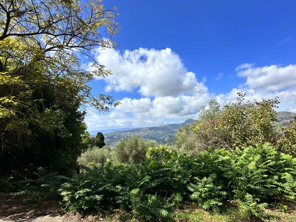 La Trinité (06340) LA TRINITÉ - LES 4 CHEMINS PROXIMITÉ COL DE VILLEFRANCHE, JOLI TERRAIN À BÂTIR, ENVIRONNEMENT VERDOYANT