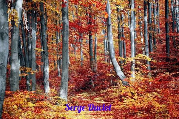 Vente Terrain 4730 m2 à Saint-Denis-en-Margeride