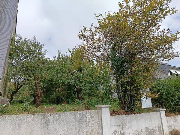 Vente terrain Saint Nazaire : 129 840 € - AJP Immobilier Saint-Nazaire