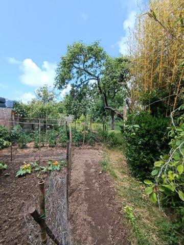 Vente terrain Saint Nazaire : 129 840 € - AJP Immobilier Saint-Nazaire