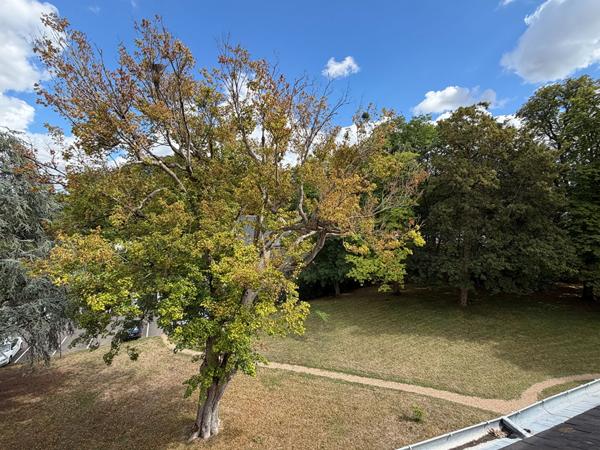 Appartement Amboise 1 pièce(s) 15.14 m2