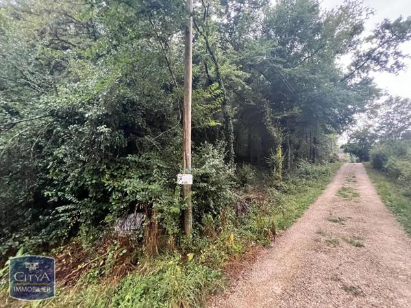 Terrain à vendre 2613m²