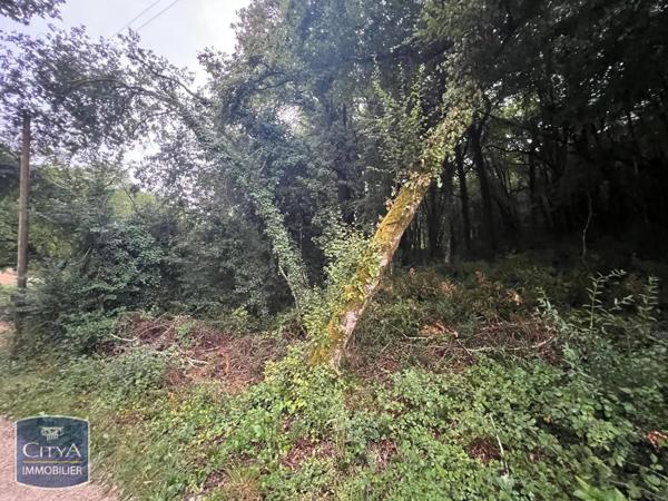 Terrain à vendre 2613m²